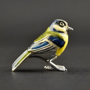 Bluetit55105