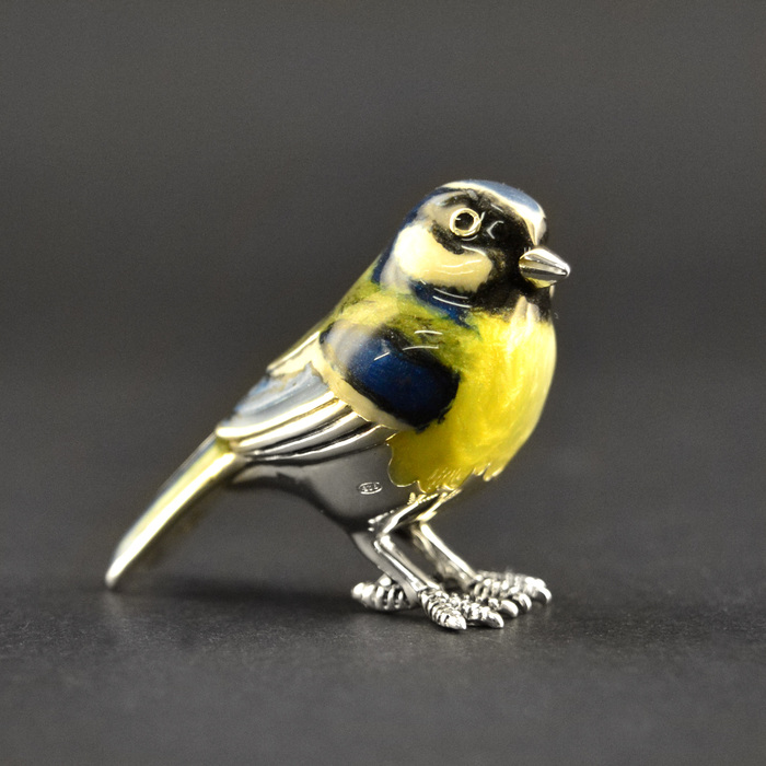 Bluetit55105b(1)